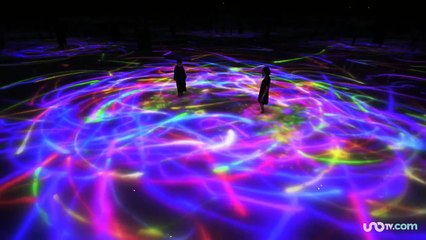 Ciencia y Tecnología | Tokio tiene le museo más increíble del mundo