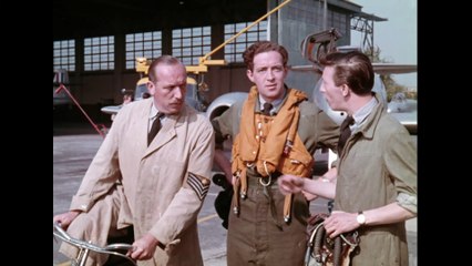 Conflict Of Wings (aka Fuss Over Feathers) Movie