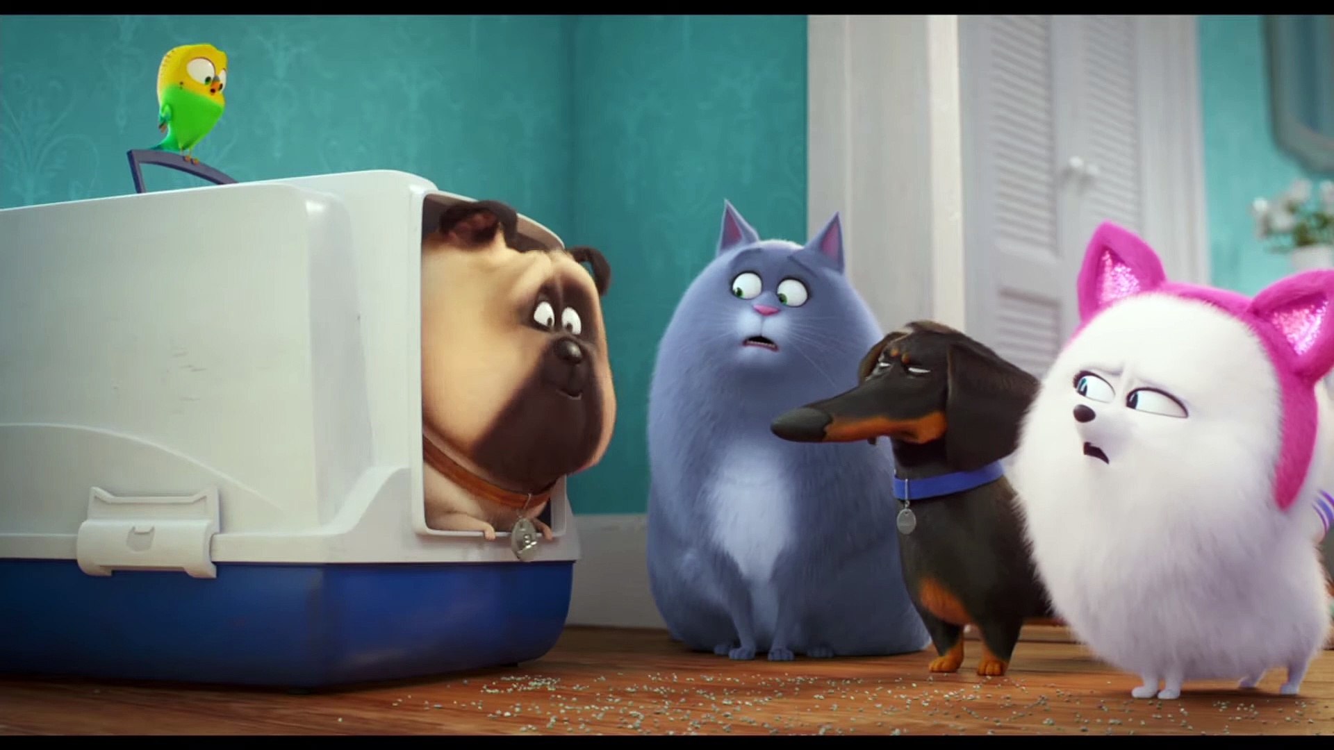 ⁣The Secret Life of Pets 2 Movie Clip - Gidget Gets Lessons
