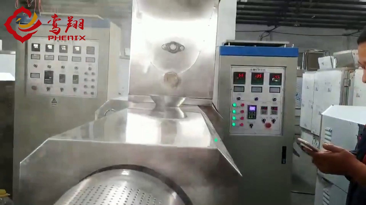 Fish feed production line Floating Food Making Machine extruder | Jinan Phenix Machinery ®