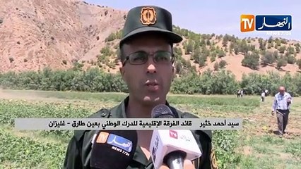 غليزان: إتلاف 02 هكتار من منتوجات فلاحية مسقية بالمياه القذرة ببلدية عين طارق