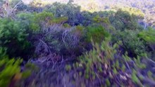 Royalty-free stock video footage highlights "May 2019"