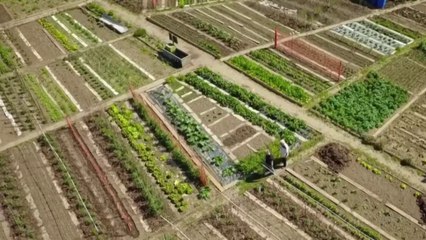 Jardin - Potagers notables