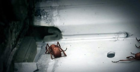 인터넷경마사이트 M A 892 점 NET