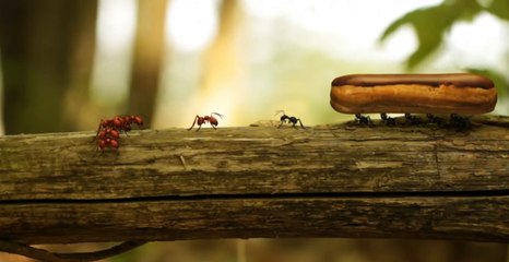 일본경마사이트 ma892^^%net