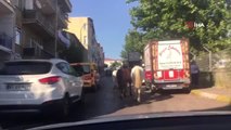 Trafikte başıboş atlar sürücüleri şaşkına çevirdi