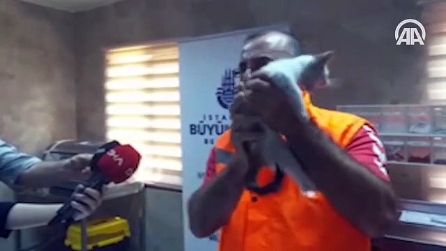 Suya kapılan yavru kediyi suni teneffüs yaparak kurtaran İBB yol bakım işçisi o anları anlattı