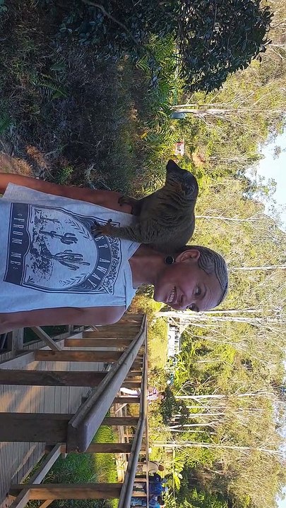 Lemurs and people