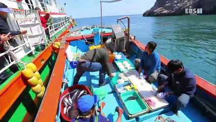 한국기행 - Korea travel_섬마을 밥집 4부- 떴다! 바다 위의 맛집_#001