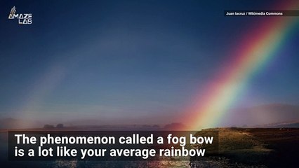 The Science Behind These Stunning ‘White Rainbows’