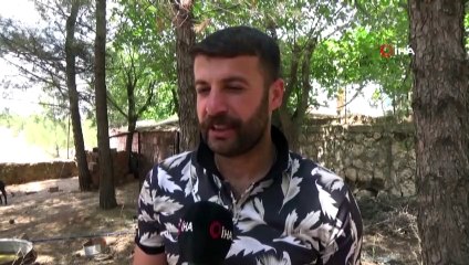 Yumurtaları Çalınınca Güvenlik Kamerası Yerleştirdi, Hırsızı Görünce Şoke Oldu