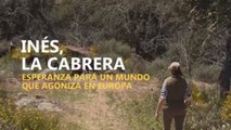 Inés, la última cabrera, esperanza para un mundo que agoniza en Europa