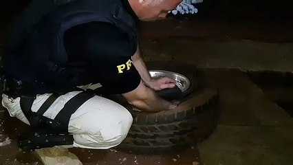 PRF apreende herbicida escondido em estepe de veículo na BR-277