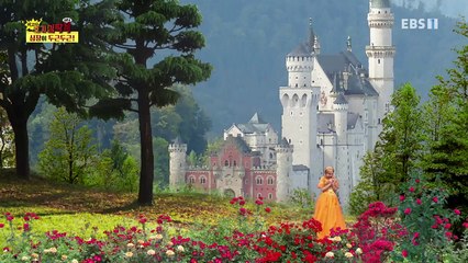 Why - 최고다! 호기심딱지 시즌4 - 심장이 두근두근!_#001