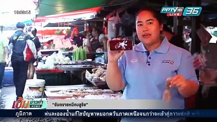 สกู๊ป “อันตรายหมึกบลูริง”