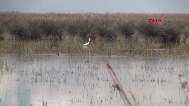 SAMSUN Kızılırmak Deltası için UNESCO süreci gelecek yıla kaldı