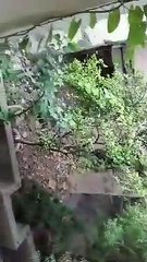 Exploring the abandoned - spooky