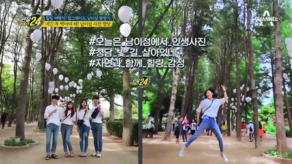 여긴 꼭 찍어야 해! 사람들 시선 사로잡는 남이섬 사진 명당은!?