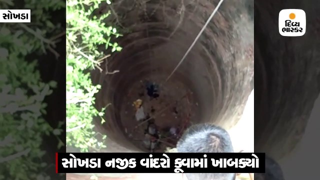 બે વાંદરા બાખડતા એક વાંદરો 120 ફૂટ ઊંડા કુવામાં પડ્યો, 4 દિવસ બાદ રેસ્ક્યૂ કરાયો