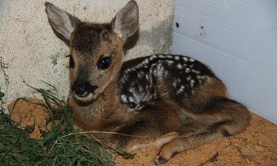 İyilik yaparım derken kötülük yapmayın