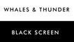 WHALES & Thunderstorm | 10 HOURS - Nature Sound for SPA, Sleep, Study, Yoga, Meditation, Whales Sound - Black Screen - 4K