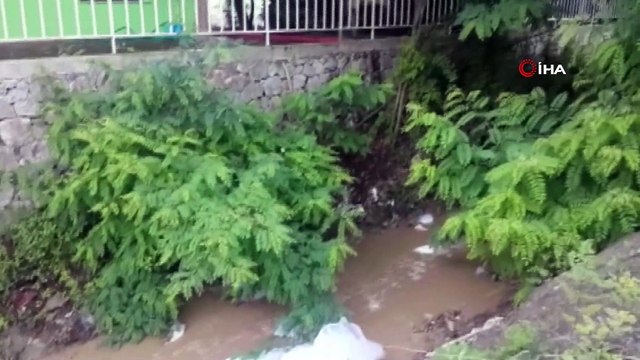 Sapanca Gölü'ne dökülen derede köpük oluştu