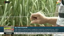 El Salvador: ambientalistas denuncian afectaciones por agrotóxicos