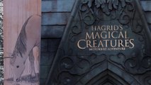 'Harry Potter' Stars Reunite to Try Out Hagrid's Motorbike Ride at Universal Orlando