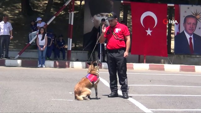 Dedektör köpekler hünerlerini sergiledi