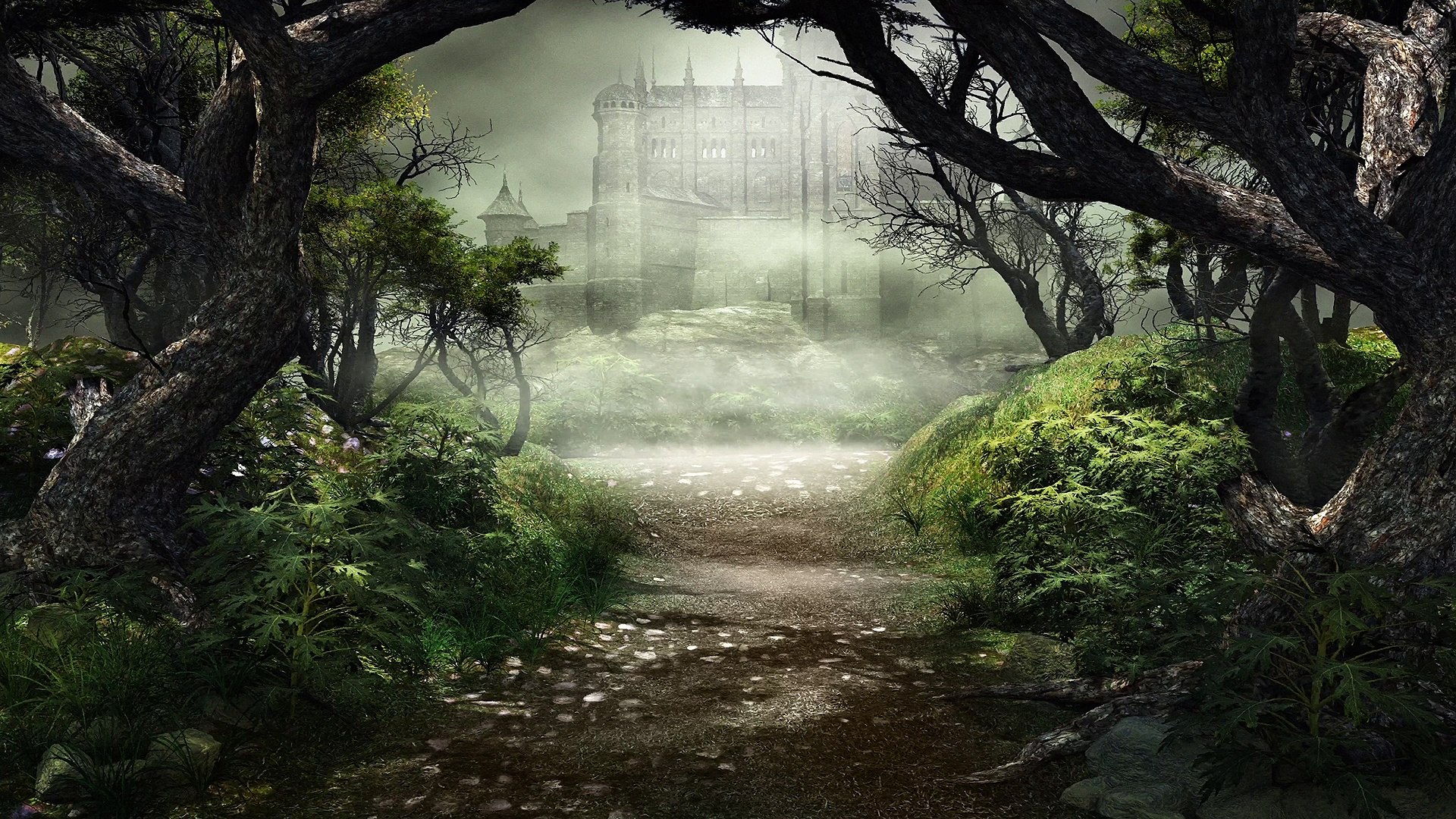 ⁣Peaceful Celtic Music: The Hiding Place - 4K - Tranquil Woodland Music, Forest Music & Fantasy M