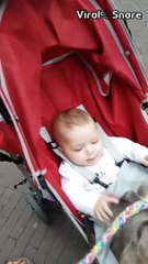 American Bully Playing With Cute Baby