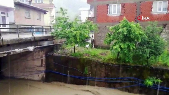 Taşan dere ördekleri sürükledi