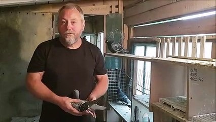 Dominique Cœur présente son pigeon Vaillant