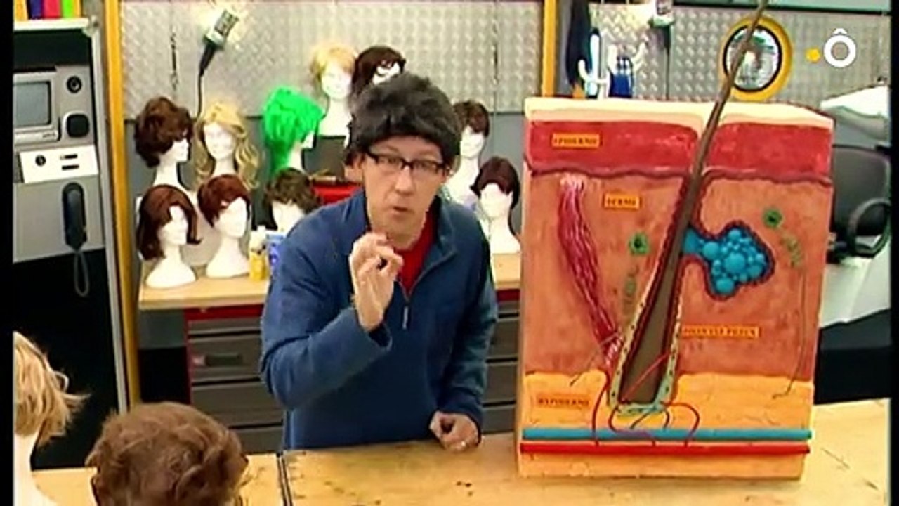 C'est pas sorcier - Les Sorciers coupent le cheveu en quatre_