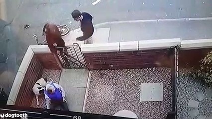 Il fait une énorme chute à vélo à coté d'un chien qui n'en a vraiment rien à faire !