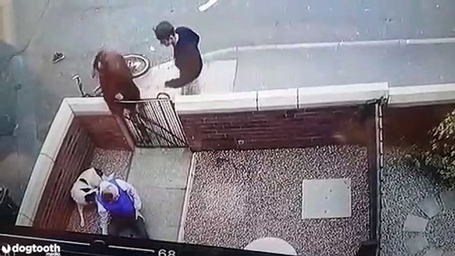 Il fait une énorme chute à vélo à coté d'un chien qui n'en a vraiment rien à faire !