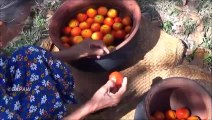 Poitrines de poulet à la Tomate et Noix de Cajou pour le Dîner par la grand-mère | la Vie du Village
