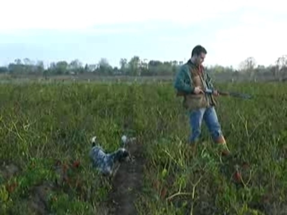 Wespa ve Rıfat Bıldırcın fermasında