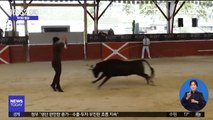 [투데이 영상] 담력 훈련? 돌진하는 소들 위로 점프