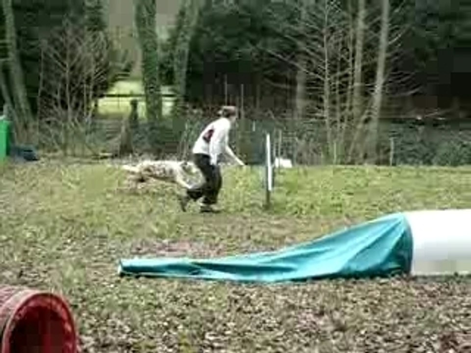 MVI_9548