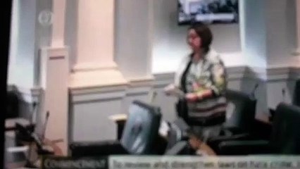 Senator  Gabrielle McFadden fine Gael attacks Gemma o Doherty and free speech