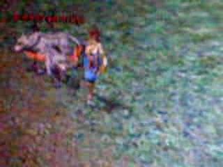 Bug Metin2