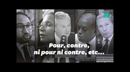 Les 50 nuances de LREM sur la PMA pour toutes