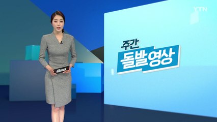 [주간 돌발영상] 6월 둘째 주  / YTN
