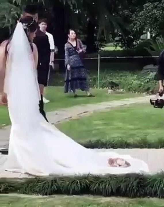 Quand ton chat est obsédé par la traîne de ta robe de mariée. Adorable !