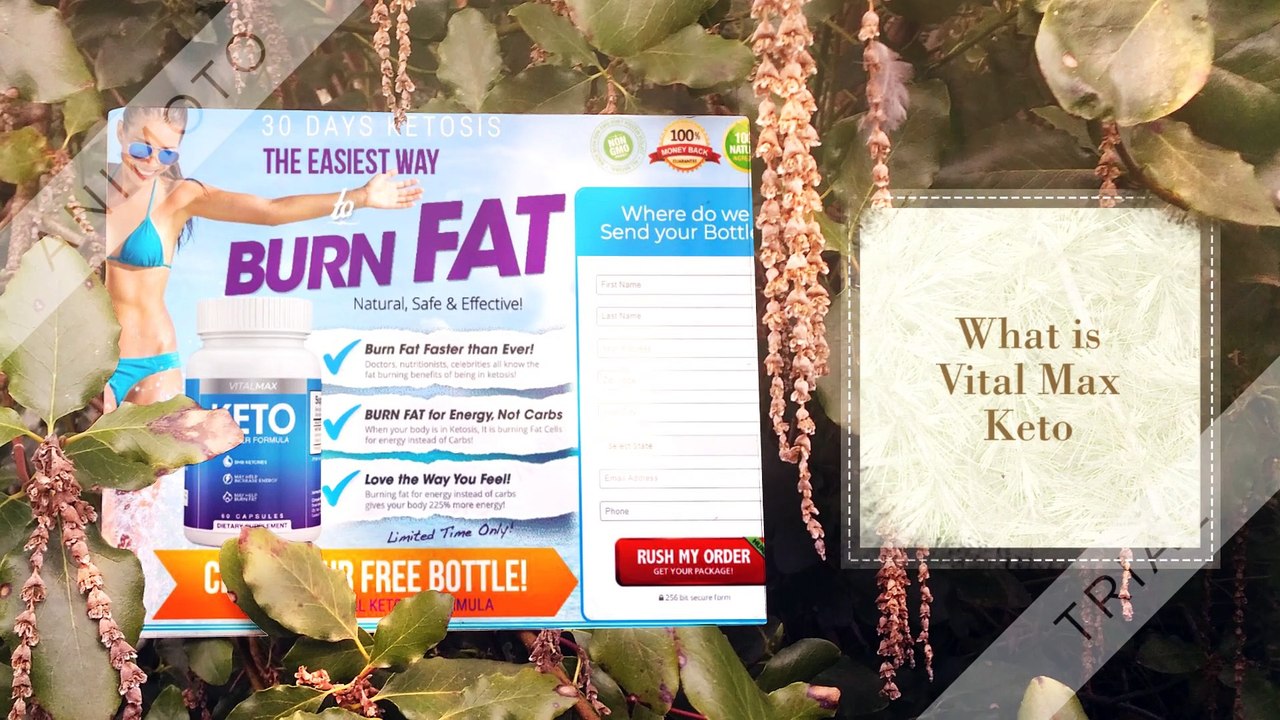 Vital Max Keto – The Diet Pills & Information
