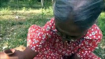Recette de poisson  Ragoût de Poisson préparé par la grand-mère | la Vie du Village