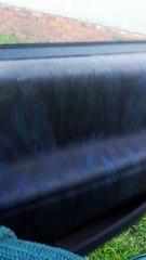 My cute dog when mummy is home!