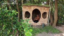 Build Swimming Pool For Goose Around Underground House