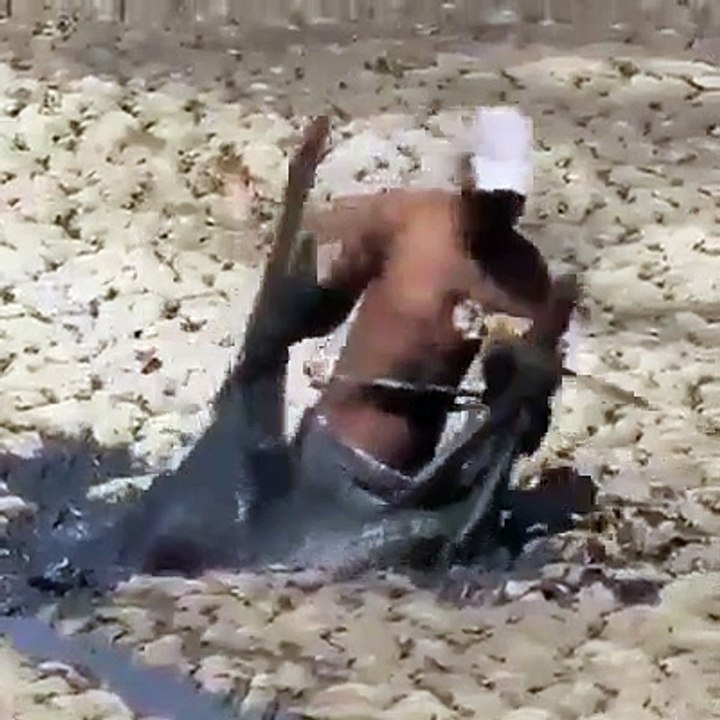 #ILoveIslam#PakistanDailyNews# ہر چیز سچ لکھی ہوئی ہے قرآن مجید میں۔ تم زمین والوں پر رحم کرو آسمان والا تم پر رحم کرے گا  ویڈیو اچھی لگے تو شئیر لازمی کر دیجئے گا۔اپنی دعاؤں میں یاد رکھیے گا۔